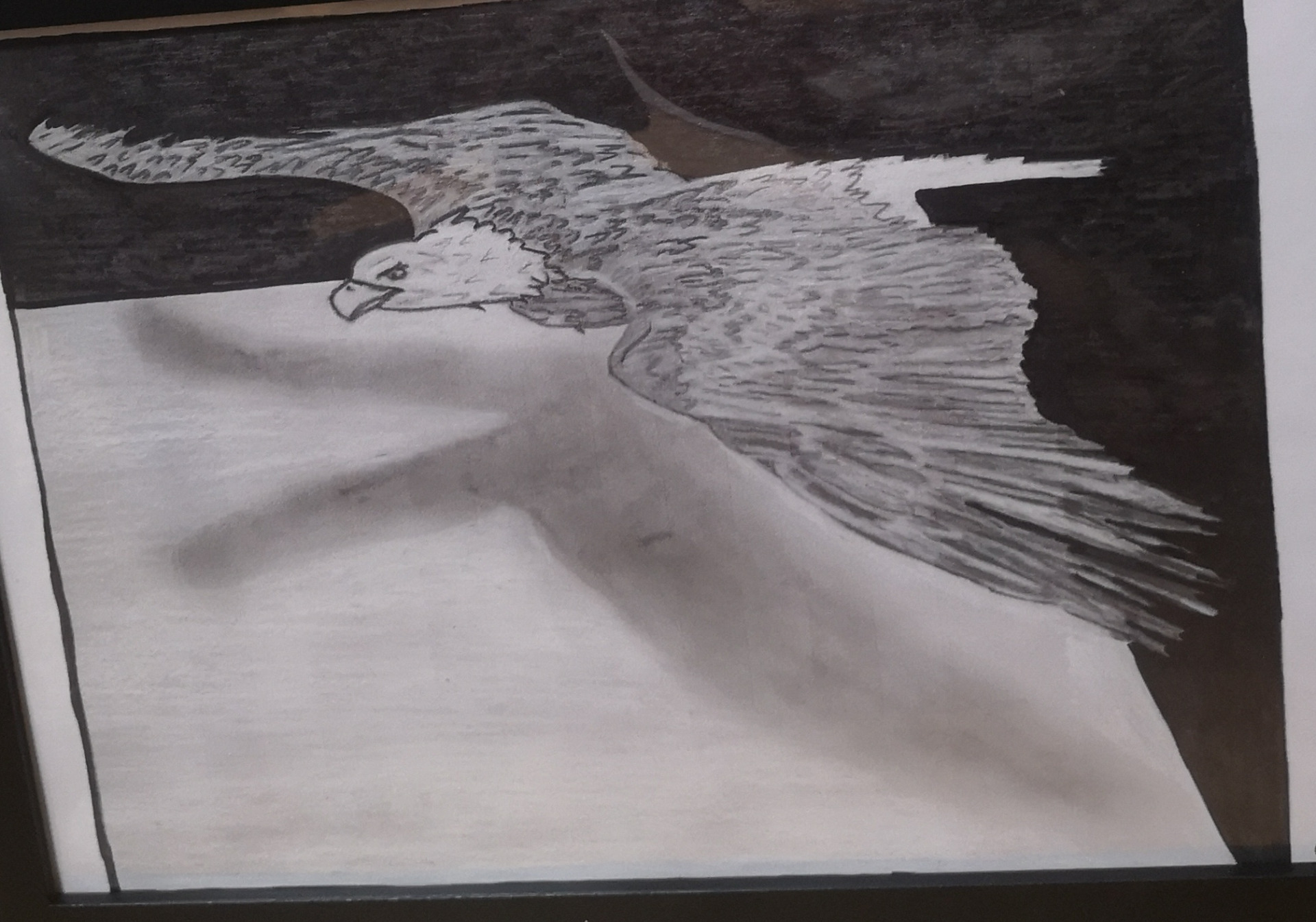 Entscheide ob du ein ADLER sein willst